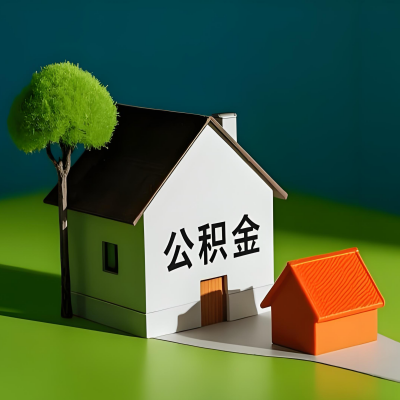 内蒙古大额公积金代提取有不一样流程及不一样的方案攻略在这里！